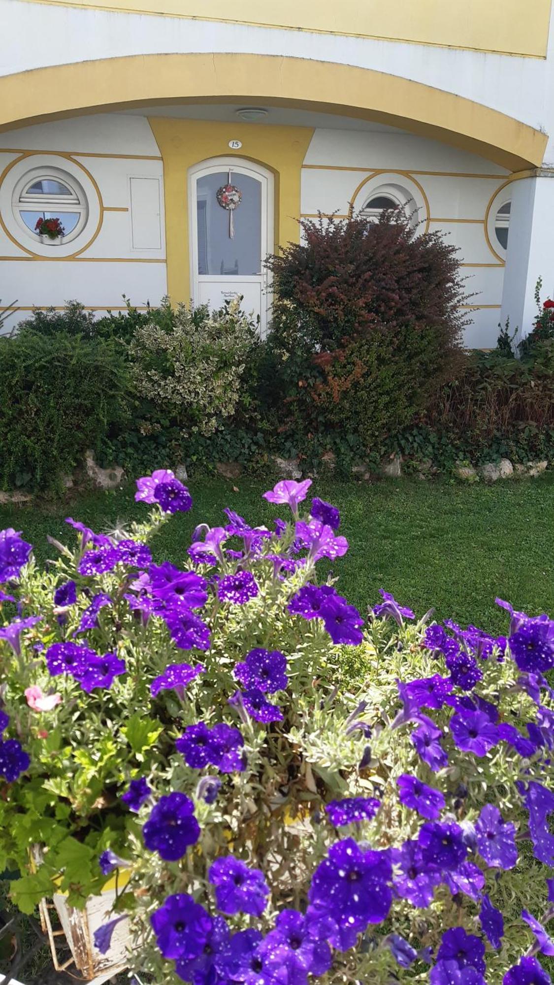 Thermal Garden Mosonmagyaróvár المظهر الخارجي الصورة