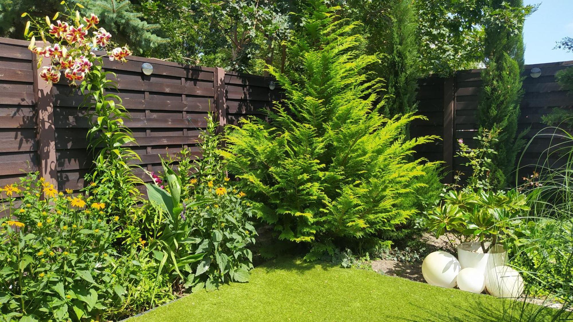Thermal Garden Mosonmagyaróvár المظهر الخارجي الصورة